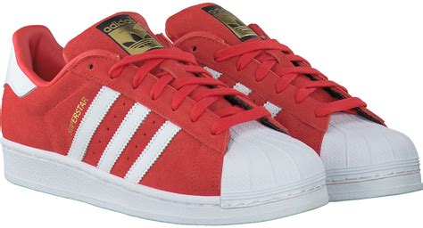superstar adidas herren rot